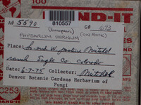 Image Associated With the Occurence